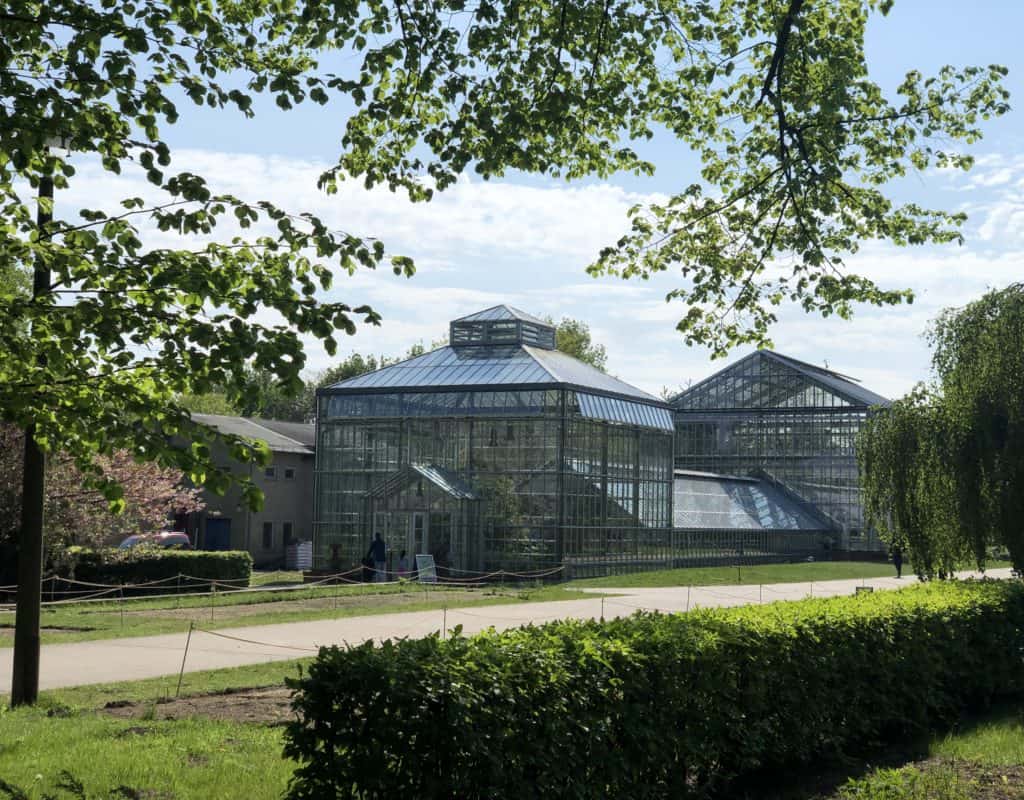 Botanischer Garten Berlin Pankow Martyna schmeckt Berlin